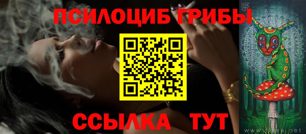 Псилоцибиновые грибы ЛСД Тара
