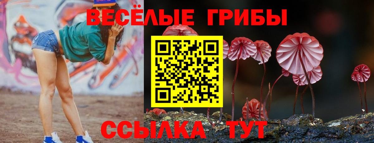 Псилоцибиновые грибы Psilocybe  наркотики  Тара  Вход с VPN 